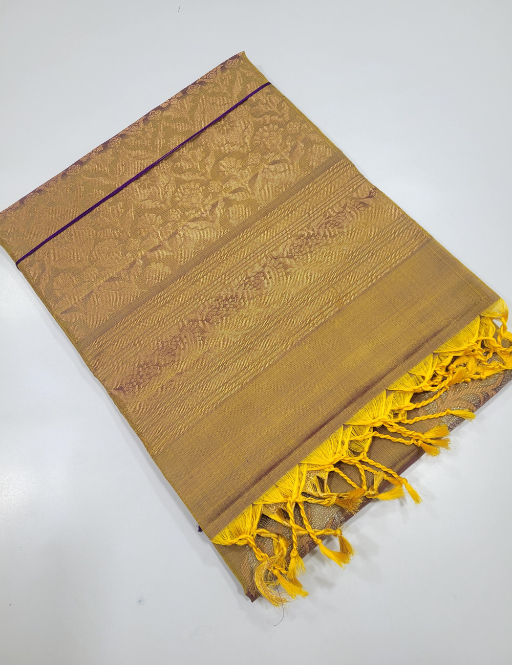 Golden Majesty – Dual Tone Soft Silk Saree with Kanchi Border